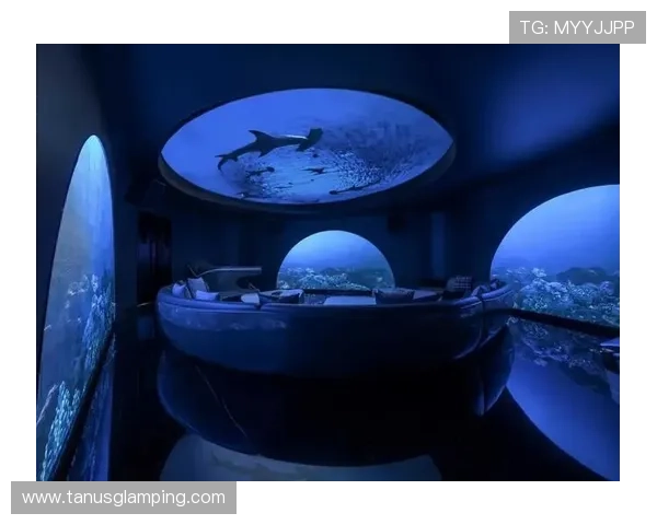 德克萨斯娱乐场：打造独一无二的娱乐空间满足不同客户的需求