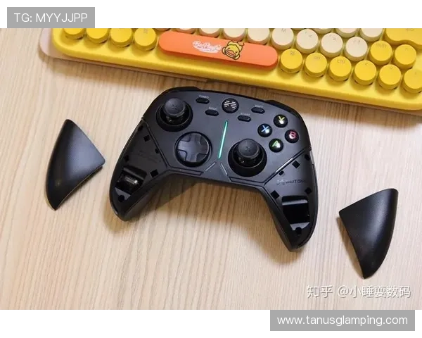 如何优化大发娱乐客户端的运行速度，提升游戏流畅度和整体体验效果
