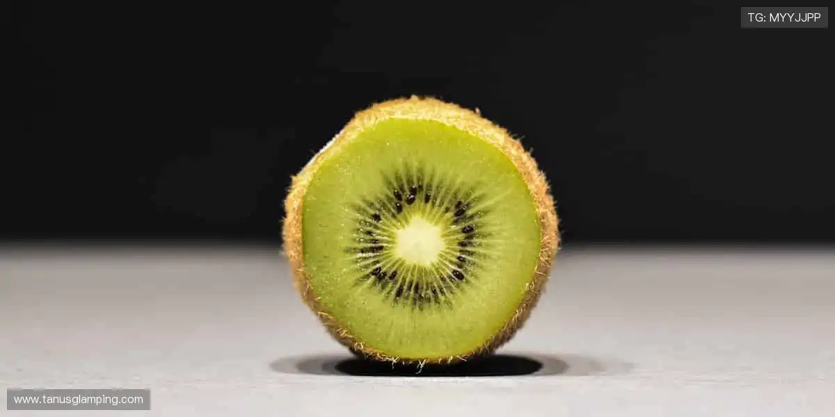 掌上移动畅玩中心：极速加载告别等待，随时入局不受限随时来一把